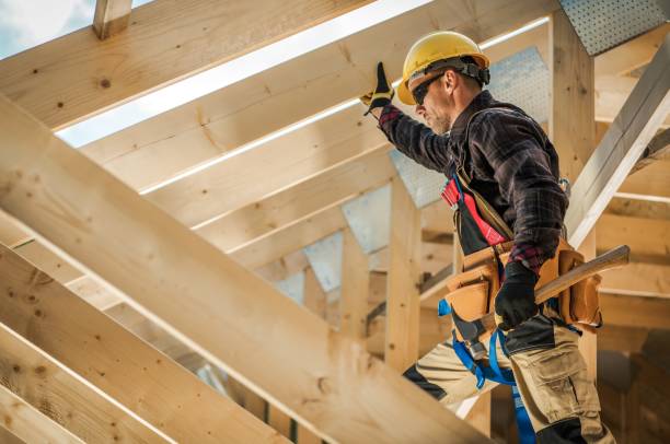 Best Roof Gutter Cleaning  in Idylwood, VA